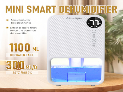 Инвестирование в осушители воздуха как шаг к здоровому бизнесу